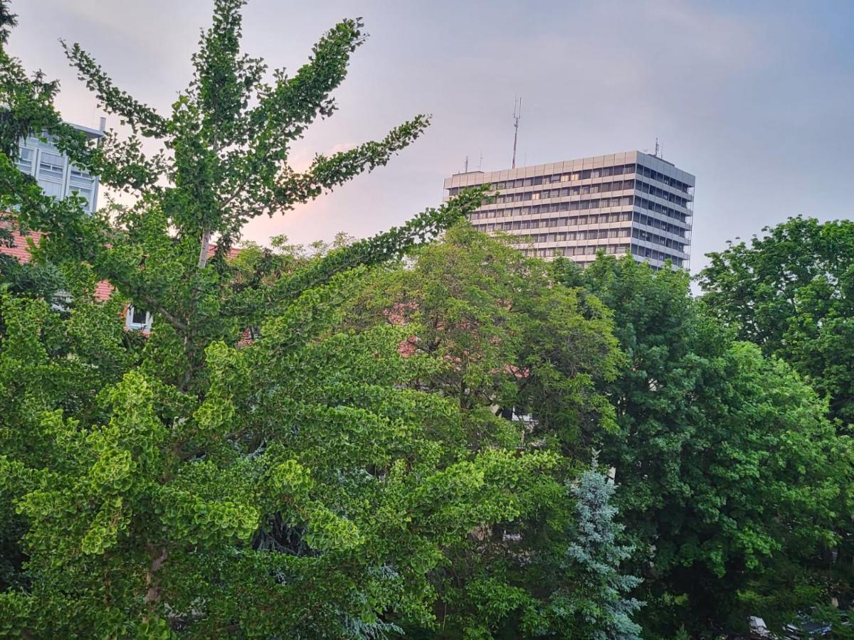 Privatzimmer An Der Uniklinik Mainz - Nur Fuer Weibliche Gaeste Appartement Buitenkant foto