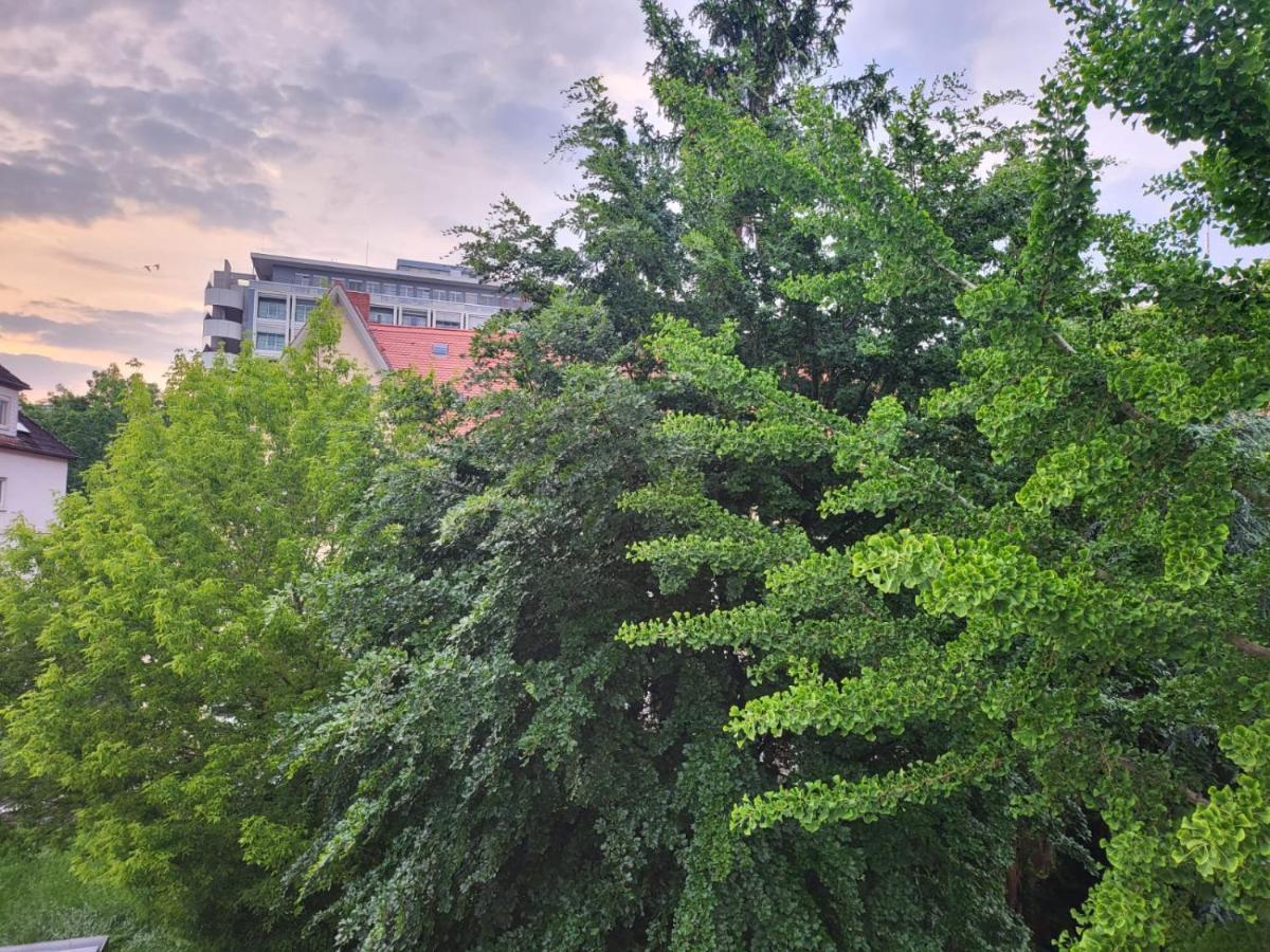 Privatzimmer An Der Uniklinik Mainz - Nur Fuer Weibliche Gaeste Appartement Buitenkant foto